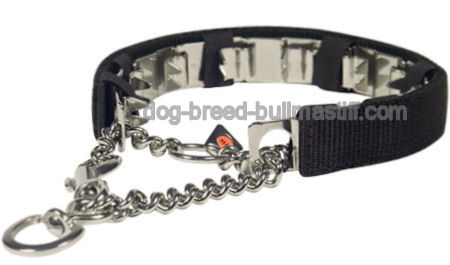 Dog Pinch Collar