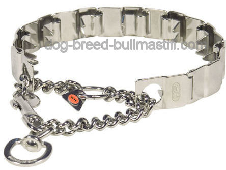 Dog Pinch Collar