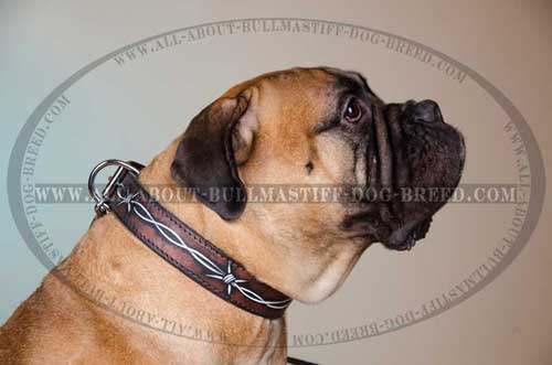 Leather Dog Collar for Bullmastiff Decorated with Hand Painted Barbed Wire