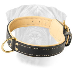Bullmastiff Leather Collar with a Rustproof Buckle
