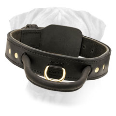 Collar Bullmastiff Leather with Handle for Training and Walking