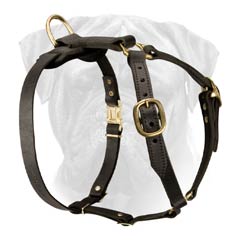 Top Quality Leather Dog Harness with Adjustable Straps