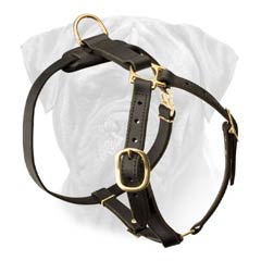 Obedience Training Leather Dog Harness