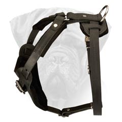 Leather Dog Harness With Soft Padding And Option Handle