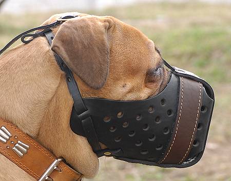 Animal Muzzle