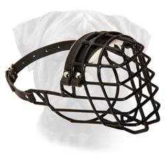 Modern Wire Basket Dog Muzzle For Cold Seasons