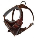 Hands Free Control Dog Harness for BullMastiff