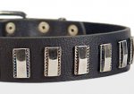 Ornament Dog Collar made of leather for Bullmastiff
