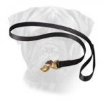 Multi-Functional Nylon Bullmastiff Leash