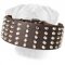 Studded Leather Bullmastiff Collar