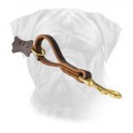 Easy Fast Grab Pull Tab Bullmastiff Leash