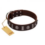 "Spiky Way" FDT Artisan Brown Leather Bullmastiff Collar with Silver-Like Decorations