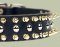 Black Leather Spiked Studded Dog Collar for Bullmastiff