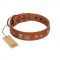 "Egyptian Gifts" Handmade FDT Artisan Tan Leather Bullmastiff Collar with Chrome-plated Pyramids