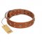 "Dreamy Gleam" FDT Artisan Tan Leather Bullmastiff Collar Adorned with Stars and Squares