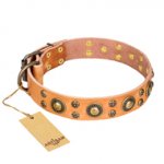 'Sophisticated Glamor' FDT Artisan Bullmastiff Tan Leather Dog Collar with Fancy Old-Bronze Plated Decorations