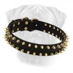 "Unveiled Luxury" Leather Bullmastiff Collar for Walking