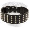 Wide Studded Leather Dog Collar for Bullmastiff