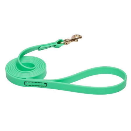 Green Waterproof Bullmastiff Leash Made of Biothane
