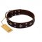 "Trendy Candy" FDT Artisan Brown Leather Bullmastiff Collar Adorned with Stars and Tiny Squares