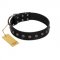 "Flower Rhapsody" FDT Artisan Premium Quaulity Black Leather Bullmastiff Collar