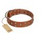 "Enchanted Skulls" FDT Artisan Tan Leather Bullmastiff Collar with Chrome Plated Skulls