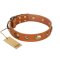 "Visual Magic" FDT Artisan Tan Leather Bullmastiff Collar for Daily Activities