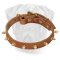 Brilliant Leather Collar with Hand Set Shiny Spikes for Bullmastiffs