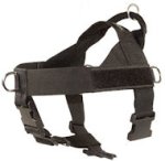 Nylon Companion Safety Harness for Bullmastiff