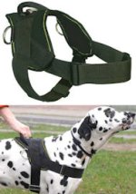 Best Dog Training Harness for BULLMASTIFF