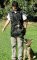 Handler Vest Dog Training for Schutzhund Dog