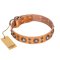 'Extra Sparkle' FDT Artisan Handcrafted Bullmastiff Tan Leather Dog Collar