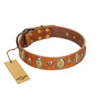"Venus Breath" FDT Artisan Tan Leather Bullmastiff Collar with Vintage Looking Oval and Round Studs