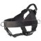 Nylon Harness for Canicross-Bullmastiff Harness