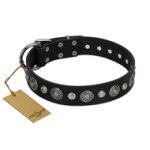 "Vintage Elegance" FDT Artisan Black Leather Bullmastiff Collar with Engraved Brooches and Studs