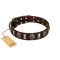 "Skull's Adventure" FDT Artisan Brown Leather Bullmastiff Collar with Plates and Ovals