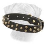 Extraordinary Bullmastiff Leather Collar - Fashion "Galaxy Trip" Style