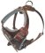 Dog Body Harness for BullMastiff - BEST Leather Dog Harness