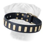 Bullmastiff Leather Collar Decorated with Metal Plates