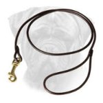 Show Leather Bullmastiff Leash