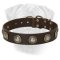 Deluxe Leather Dog Collar with Hand-Set Conchos for Bullmastiff