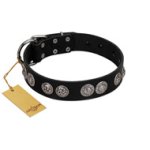 "Magic Amulete" Handcrafted FDT Artisan Black Leather Bullmastiff Collar with Chrome-Plated Shields