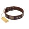 "Stone Stars" Stylish Handmade FDT Artisan Brown Leather Bullmastiff Collar