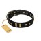"Fit for Royalty" FDT Artisan Black Leather Bullmastiff Collar with Plates and Small Square Studs