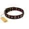 "Snazzy Paws" FDT Artisan Brown Leather Bullmastiff Collar Adorned with Conchos and Medallions