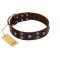 "Skull Valley" Handcrafted FDT Artisan Brown Leather Bullmastiff Collar with Skulls