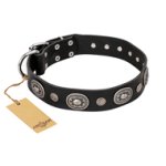 "Black Tie" FDT Artisan Leather Bullmastiff Collar with Old Silver-like Decorations