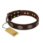 "Chocolate kiss" FDT Artisan Leather Bullmastiff Collar with Old Bronze Look Oval Plates