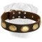 High Quality Leather Dog Collar for Bullmastiff