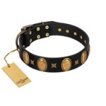 "Doggie Woggie" Designer Handmade FDT Artisan Black Leather Bullmastiff Collar with Ovals and Studs